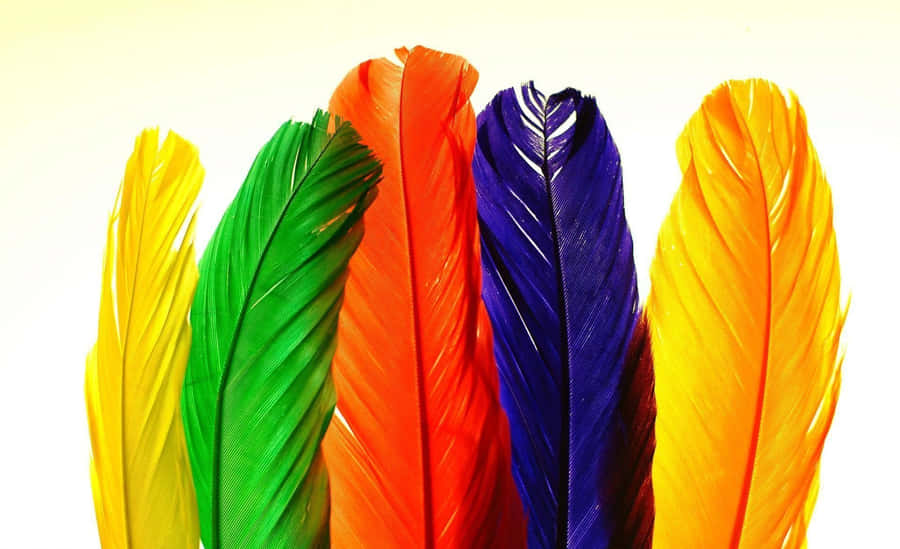 Vibrant Feathers Array Wallpaper