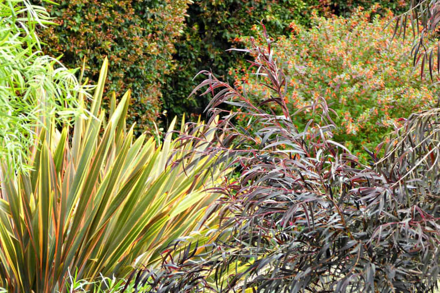 Vibrant Garden Texture Variety Wallpaper