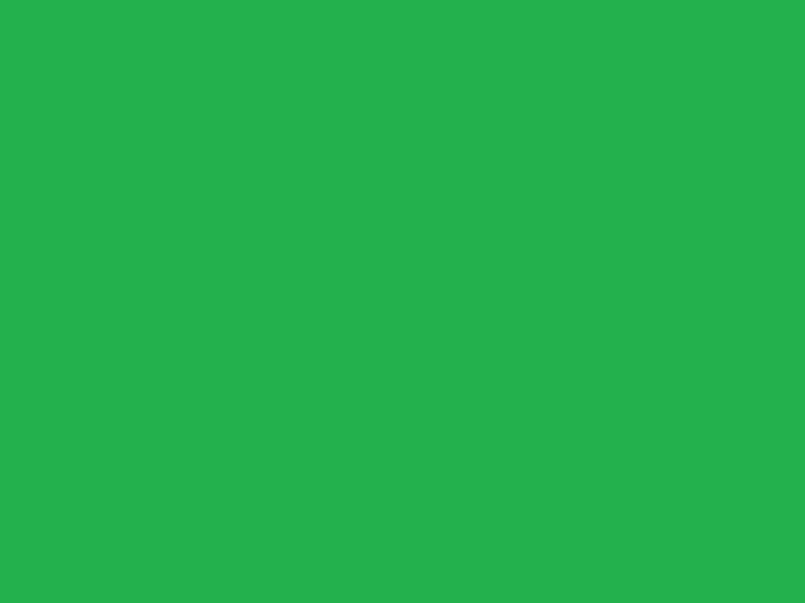 Vibrant Green Solid Color Wallpaper Wallpaper
