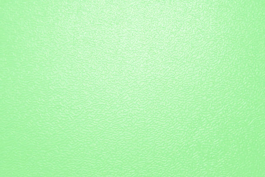 Vibrant Green Solid Color Wallpaper Wallpaper