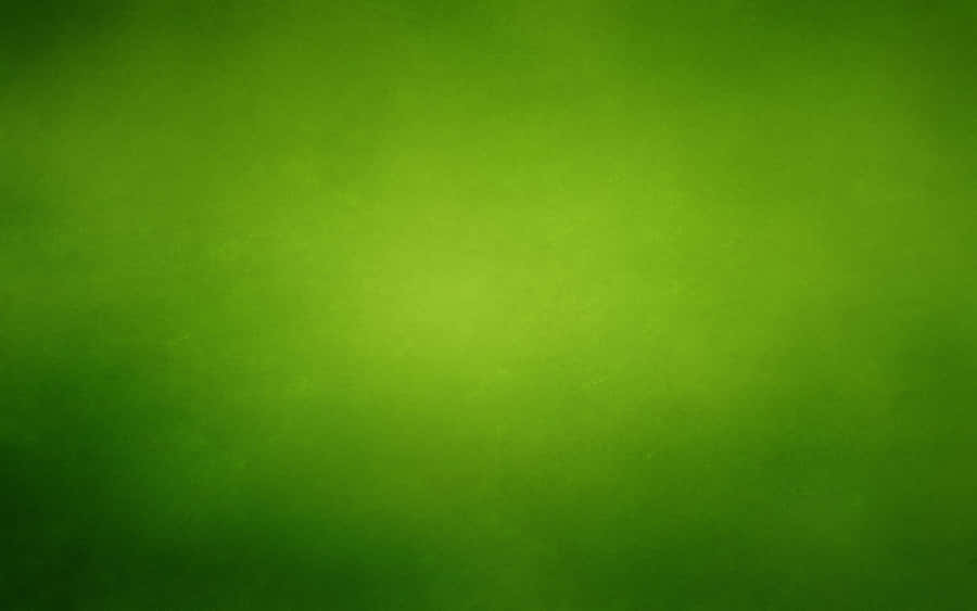 Vibrant Green Texture Wallpaper Wallpaper