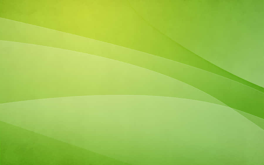 Vibrant Lime Green Abstract Wallpaper Wallpaper