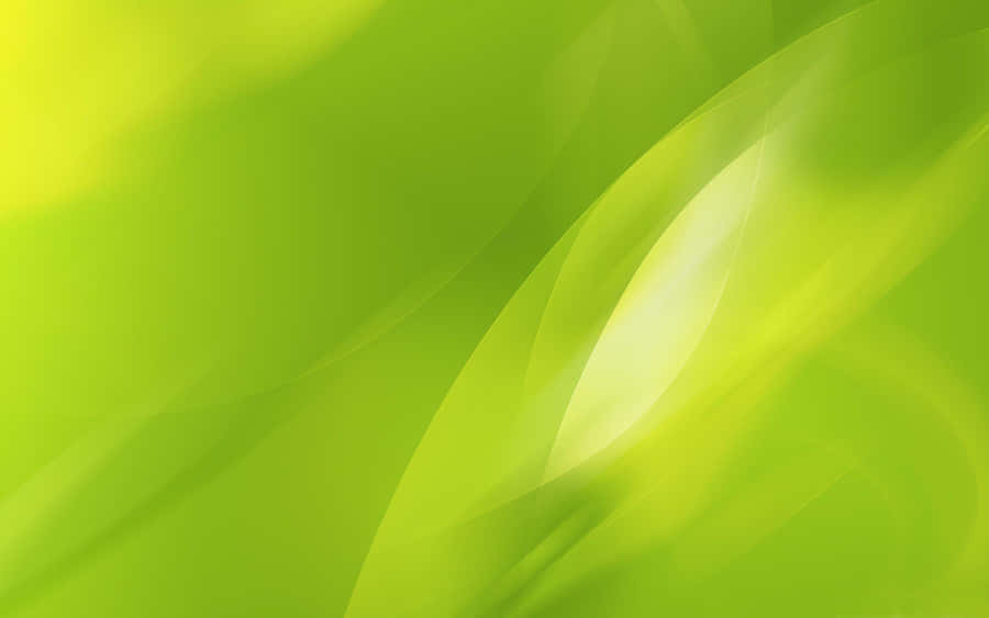 Vibrant Lime Green Background Wallpaper