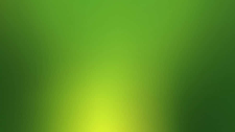 Vibrant Lime Green Background Wallpaper