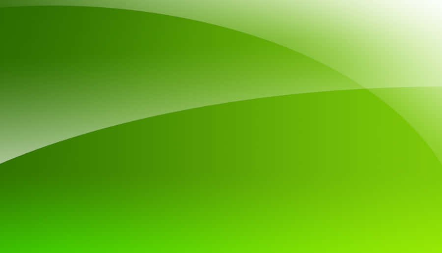 Vibrant Lime Green Nature Landscape Wallpaper