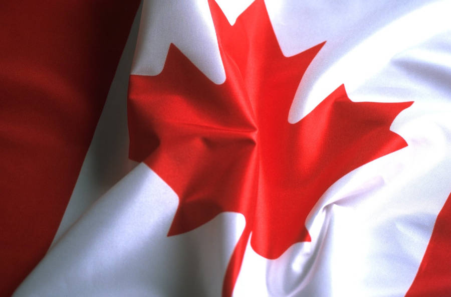 Vibrant Maple Leaf - Emblem Of Canada Wallpaper