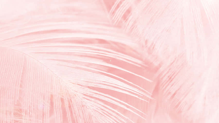 Vibrant Pink Pattern Wallpaper Wallpaper