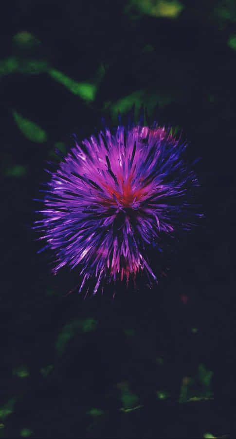 Vibrant Psychedelic Flowers In Full Bloom Wallpaper