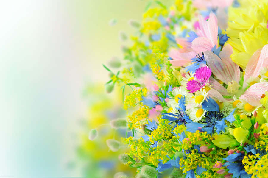 Vibrant Spring Floral Arrangement Wallpaper
