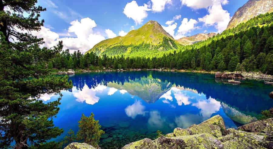 Vibrant Spring Landscape With Blooming Trees And Clear Blue Sky Wallpaper