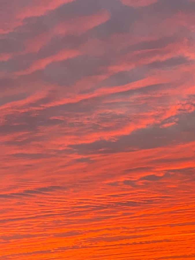 Vibrant Sunrise Over The Beach Wallpaper