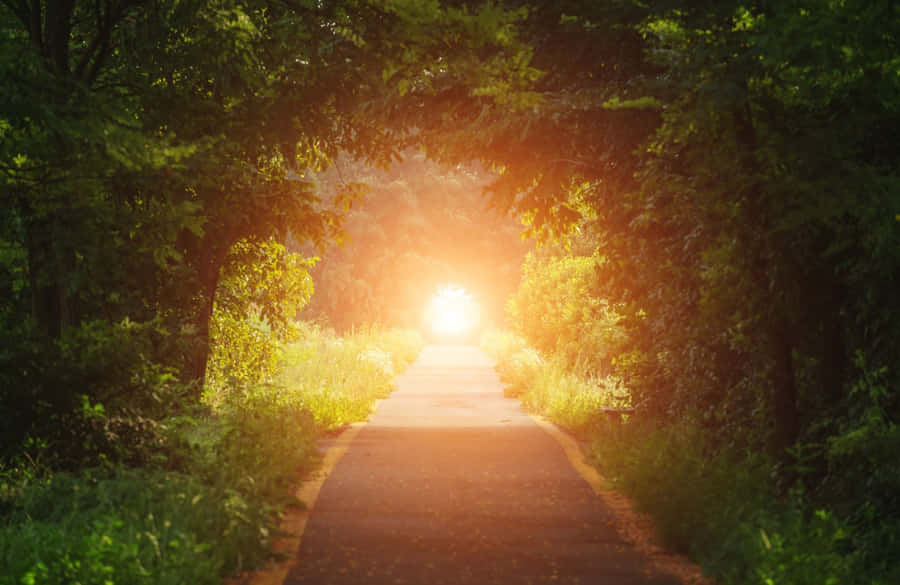 Vibrant Sunrise Over The Ocean Wallpaper