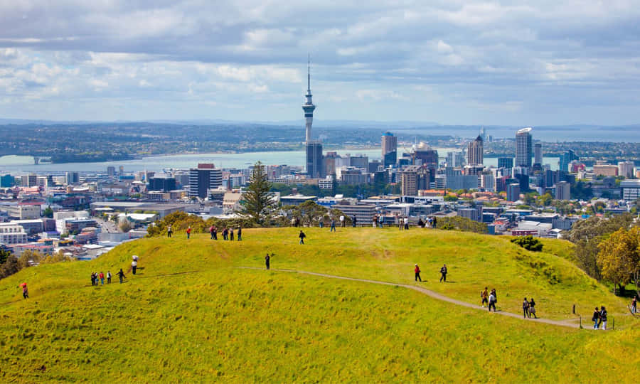 Vibrant Sunset Over Auckland Skyline Wallpaper