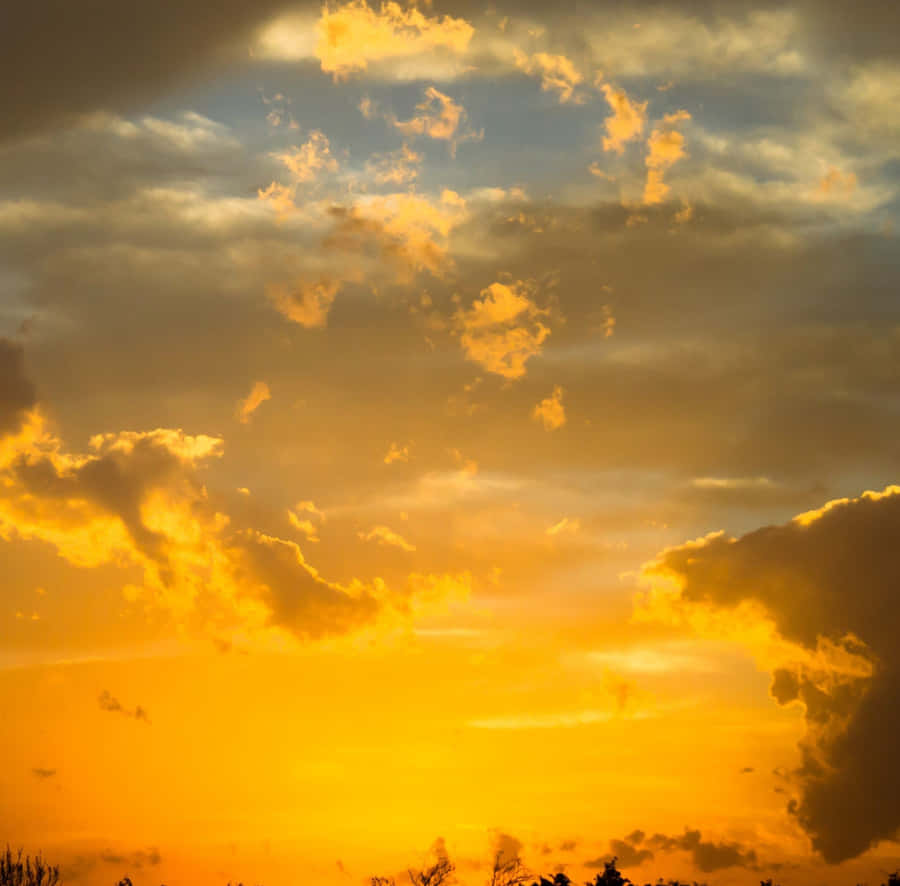 Vibrant Yellow Sky At Sunset Wallpaper