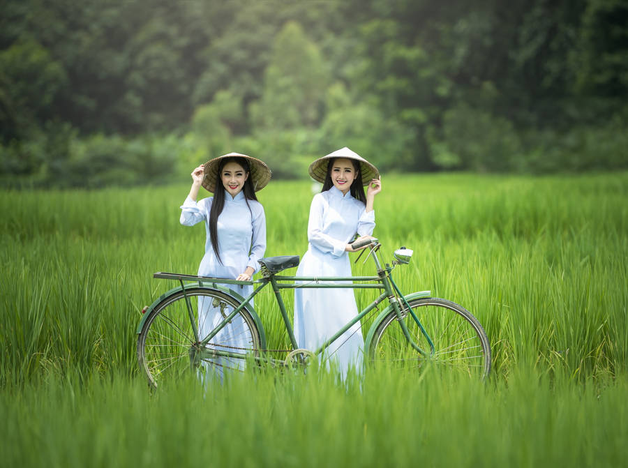 Vietnamese Sister White Ao Dai Wallpaper