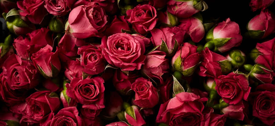 View Of Majestic Landscape In Norway Wallpaper