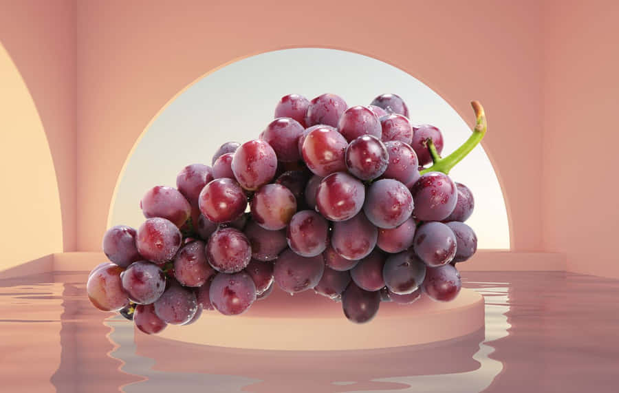 Vineyard Of Purple Grapes Wallpaper