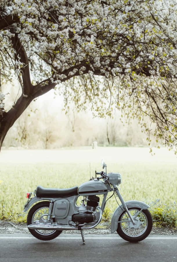 Vintage Motorcycle Under Blossoming Tree Wallpaper