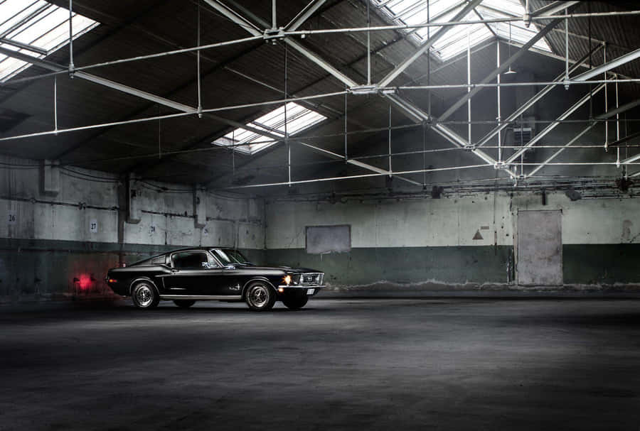 Vintage Muscle Carin Warehouse Wallpaper