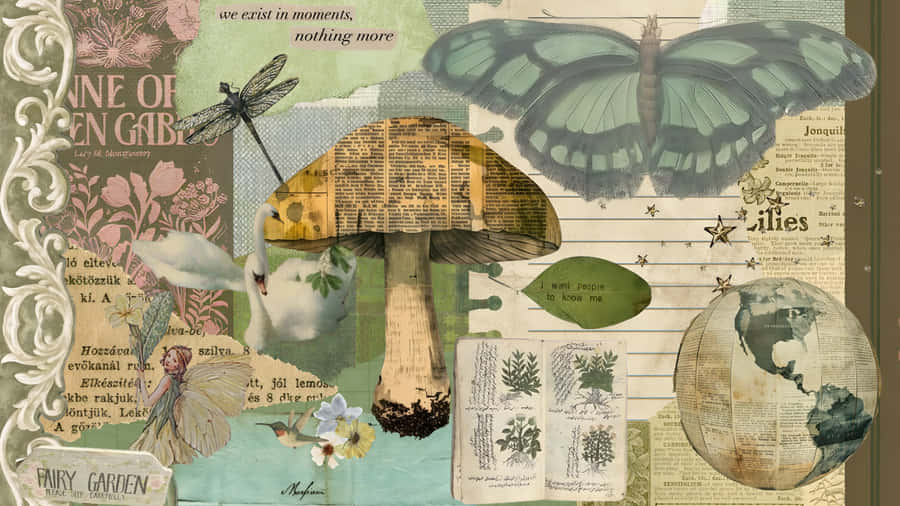 Vintage Nature Collage Wallpaper