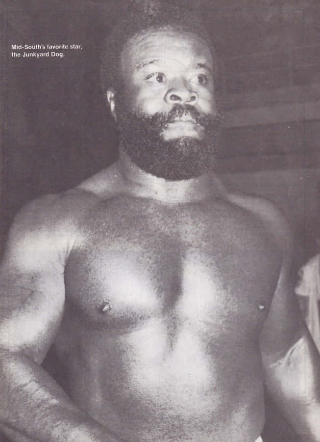 Vintage Shot Of Wrestling Icon, Junkyard Dog Wallpaper