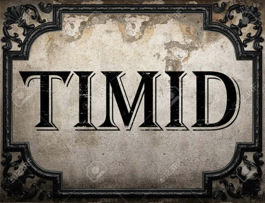 Vintage Timid Word Art Wallpaper