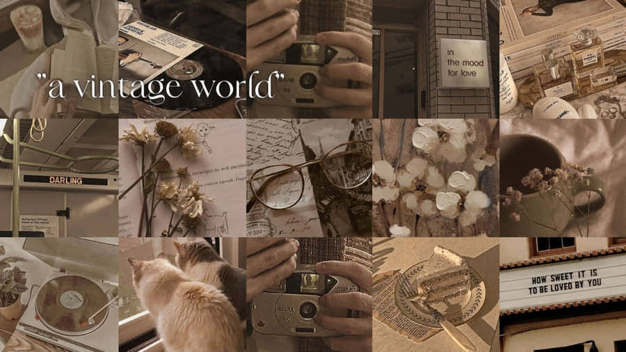 Vintage World Collage Brown Aesthetic Wallpaper
