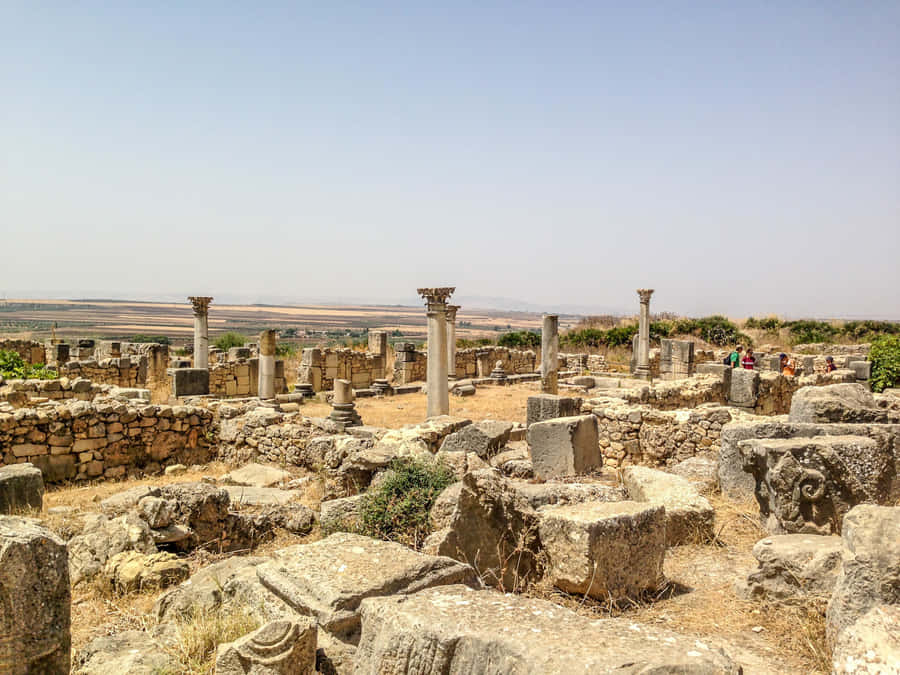 Volubilis Large Stones Wallpaper
