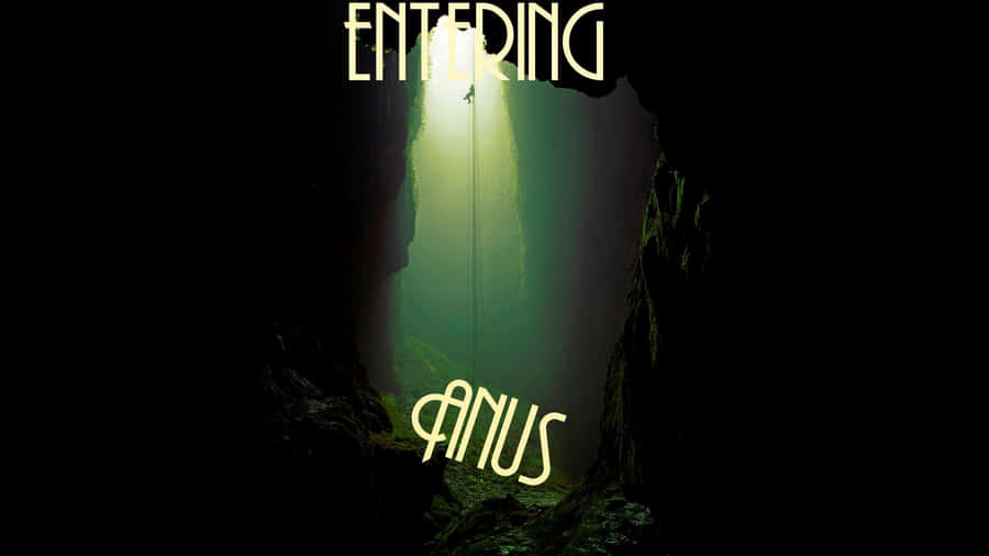 Vulgar Spotlight Poster [wallpaper] Wallpaper