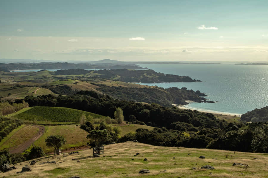 Waiheke Island Coastal View New Zealand Wallpaper