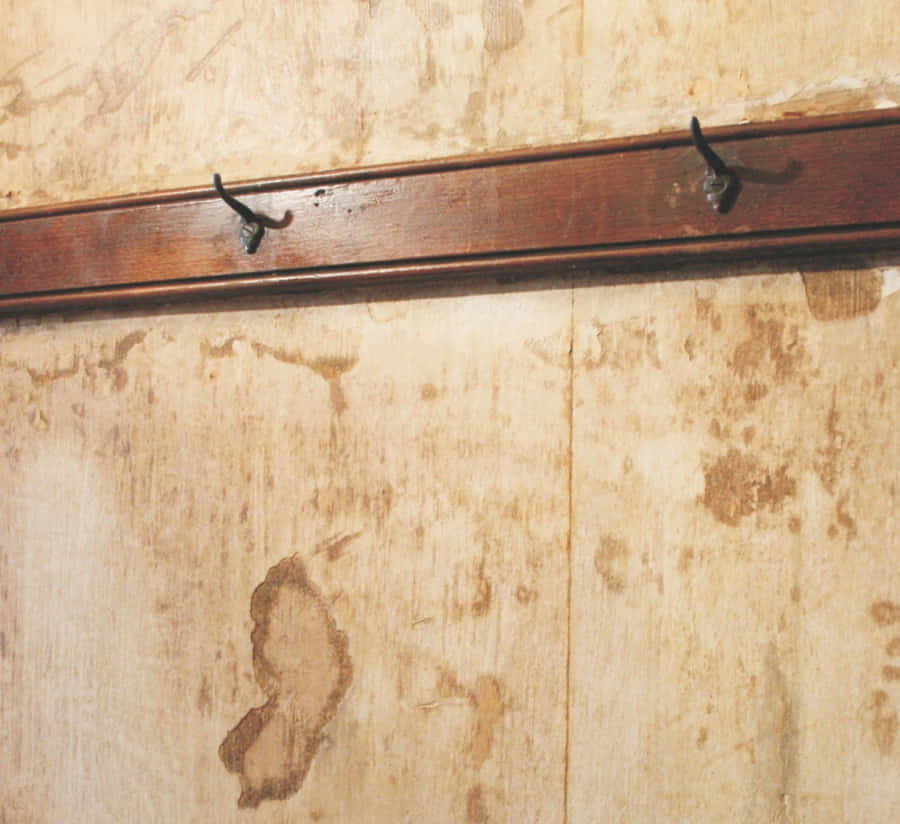 Wall With Copious Water Stains Wallpaper