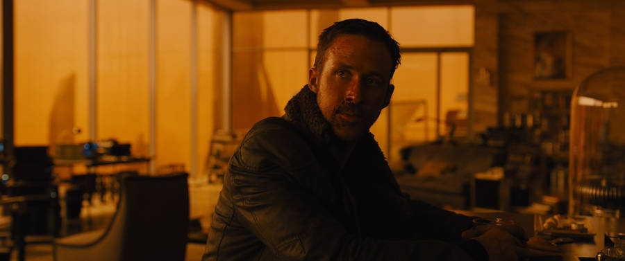 Warm-tinted Officer K Blade Runner 2049 4k Wallpaper