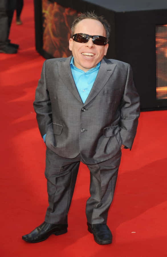 Warwick Davis, British Actor And Television Presenter Wallpaper