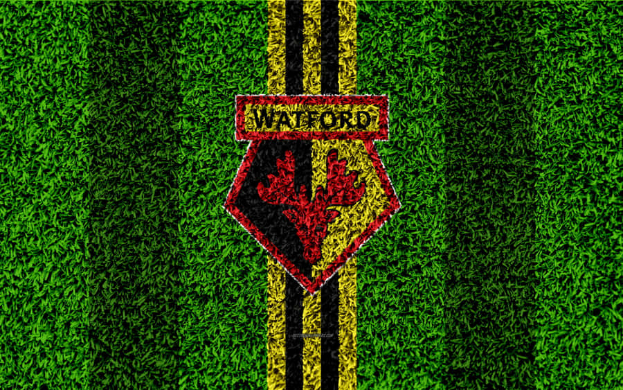 Watford Wallpaper