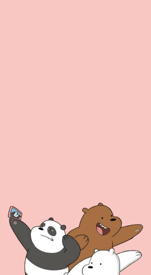 We Bare Bears Aesthetic Pink Background Wallpaper
