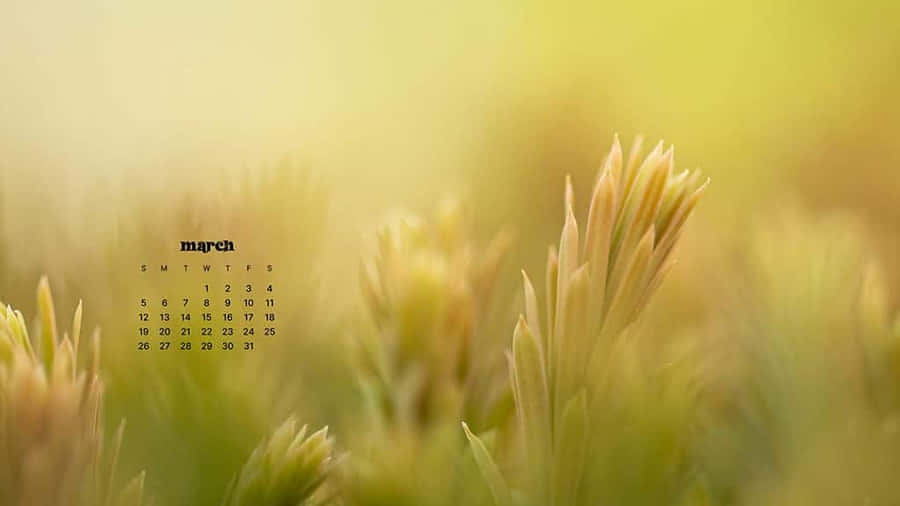 Welcome In March Wallpaper