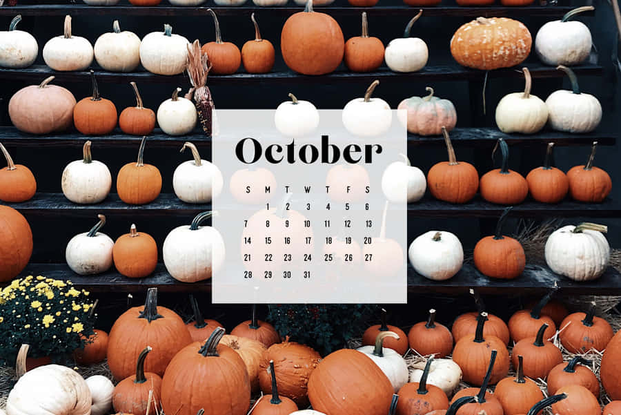 Welcome October With A Pumpkin Wallpaper