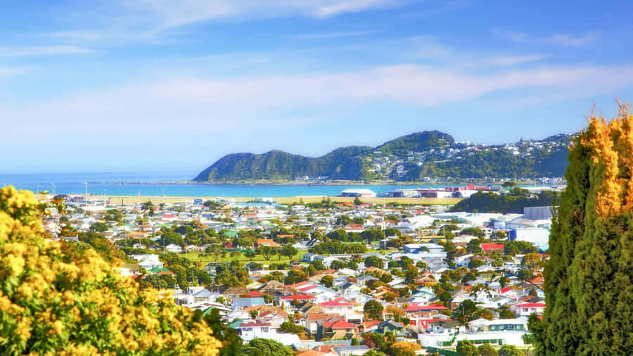 Wellington Cityscapeand Coastline New Zealand Wallpaper