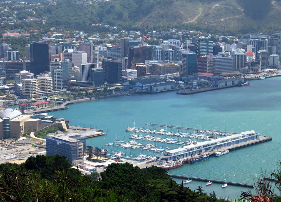 Wellington Cityscapeand Harbor Wallpaper