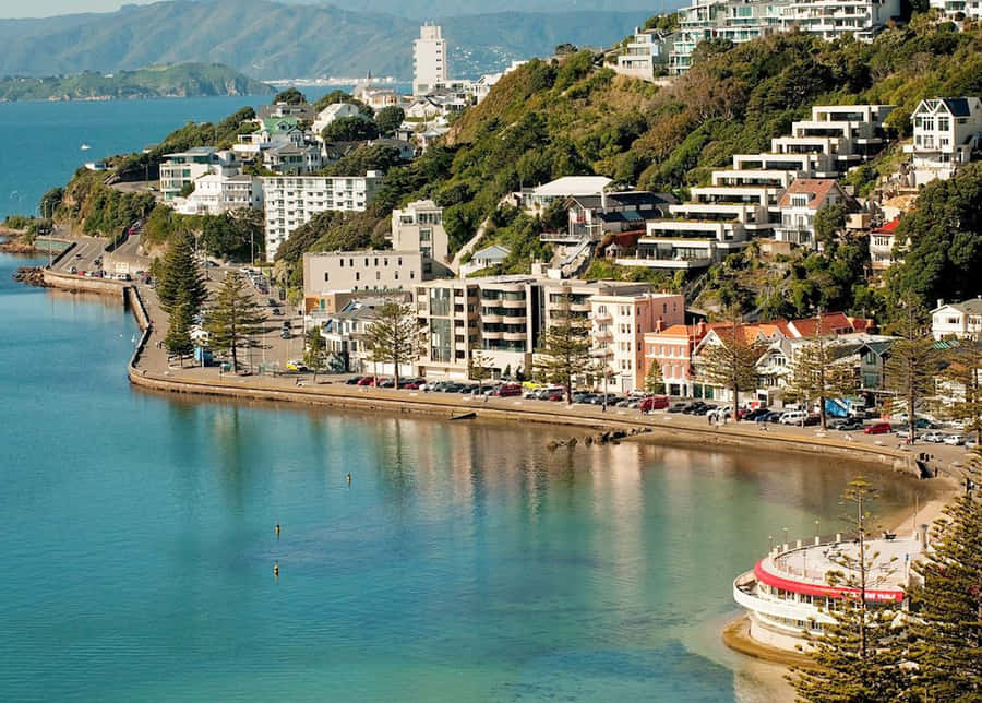 Wellington Coastline Urban View.jpg Wallpaper
