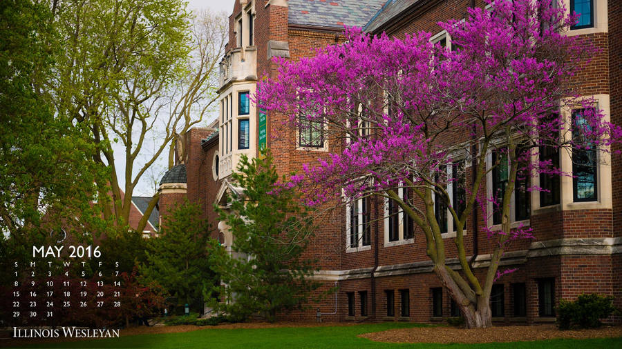 Wesleyan University May 2016 Calendar Wallpaper