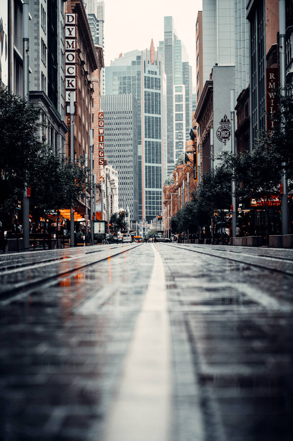 Wet Road In The City Wallpaper