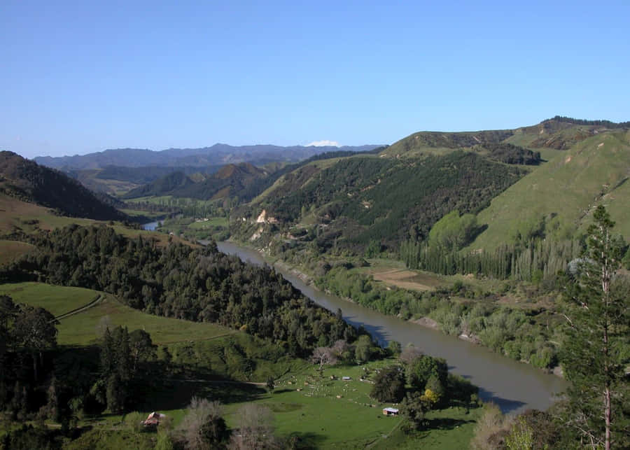 Whanganui River Valley New Zealand Wallpaper