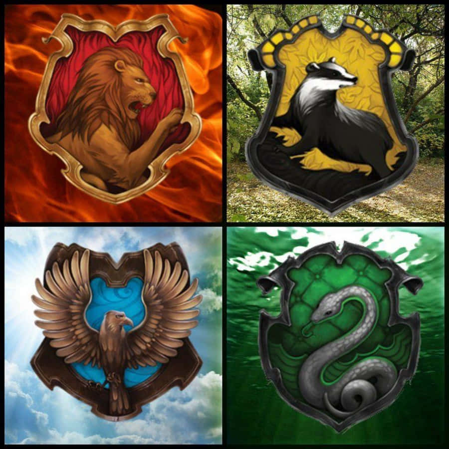 Which Hogwarts House Are You In?