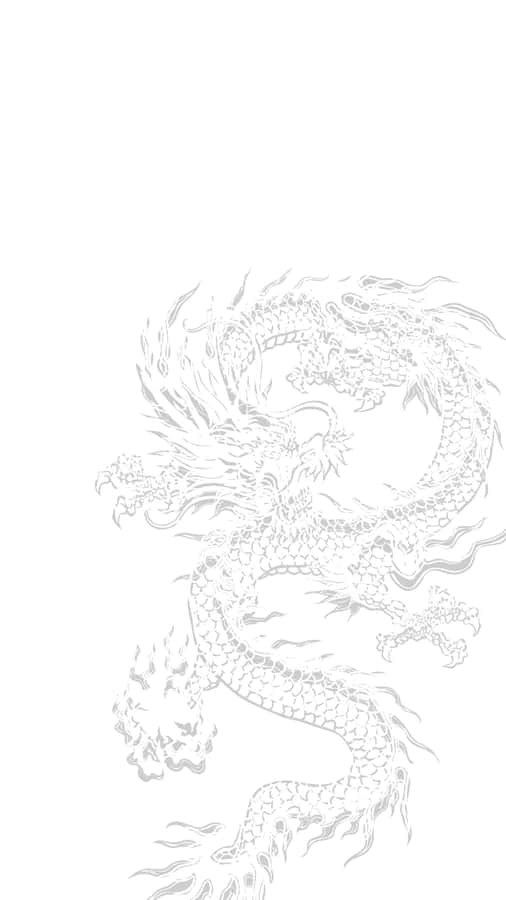 White Background Wallpaper Wallpaper