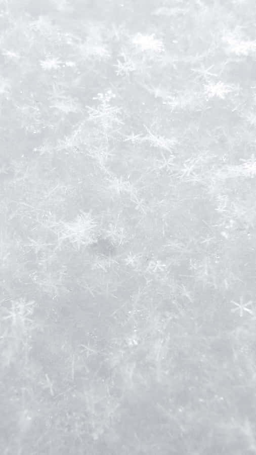 White Background Wallpaper Wallpaper