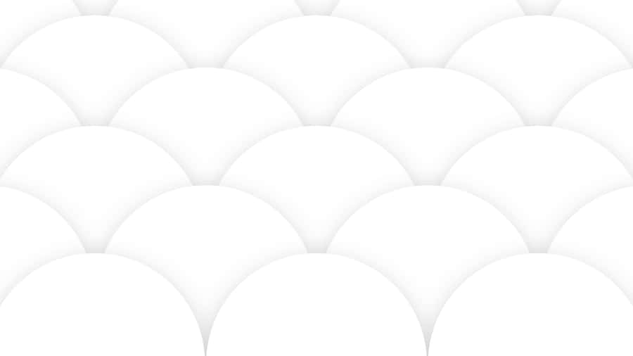 White Background Wallpaper Wallpaper