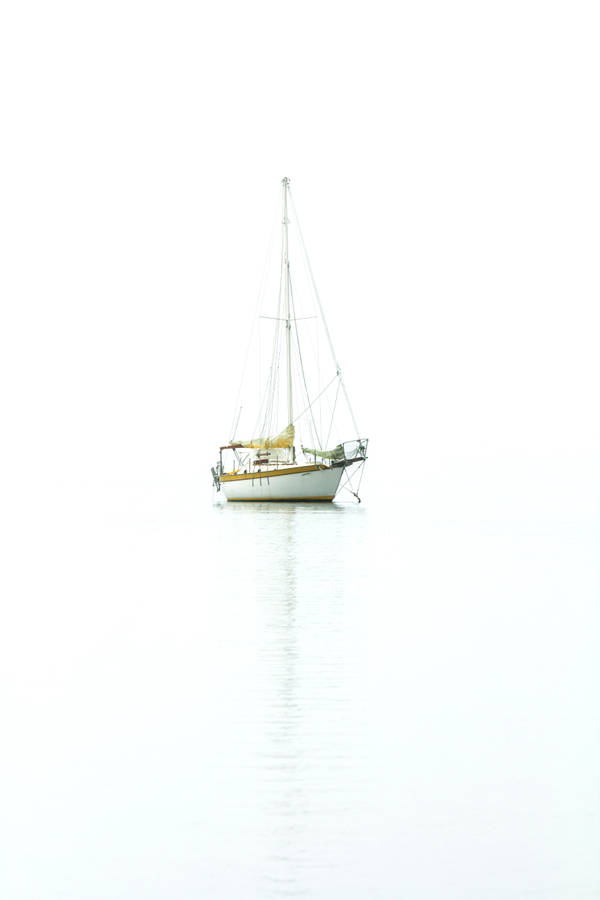 White Boat Poster Wallpaper