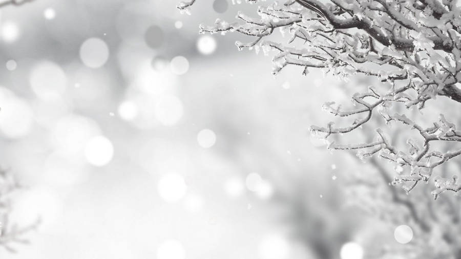 White Christmas In Winter Wallpaper