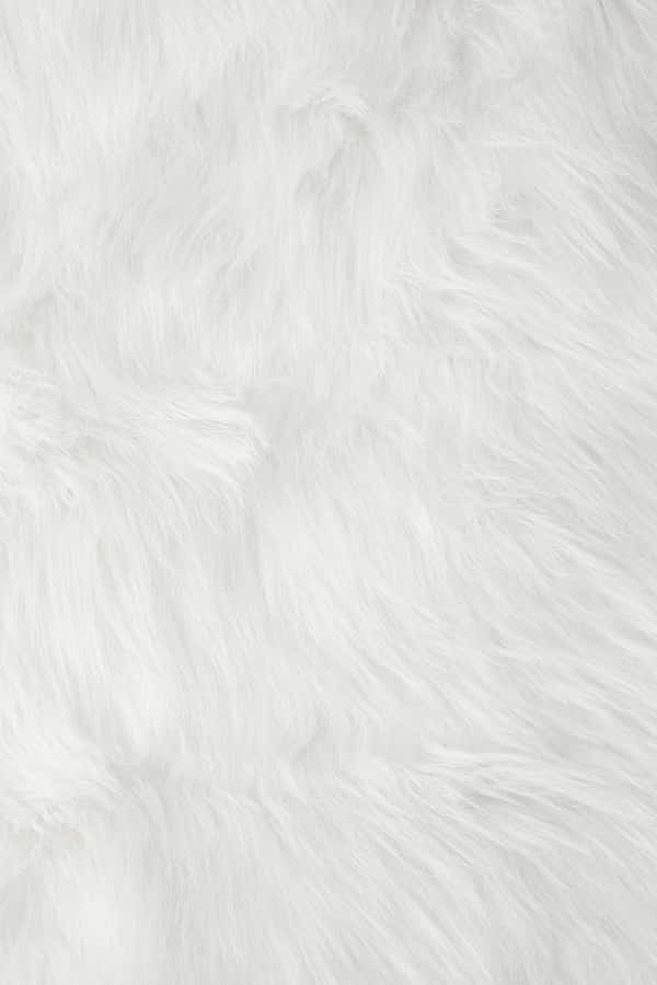 White Faux Fur Texture Wallpaper